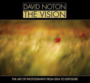 David Noton