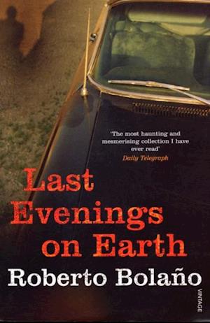 Last Evenings On Earth