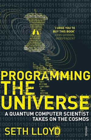 Programming The Universe