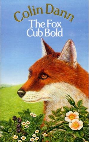 Fox Cub Bold