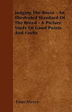 Judging The Boxer - An Illustrated Standard Of The Breed - A Picture Study Of Good Points And Faults