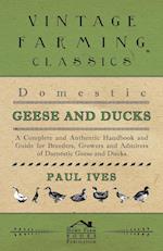 Domestic Geese And Ducks - A Complete And Authentic Handbook And Guide For Breeders, Growers And Admirers Of Domestic Geese And Ducks