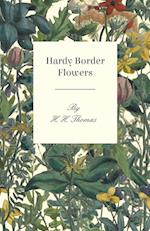 Hardy Border Flowers