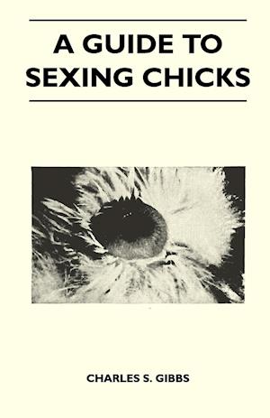 A Guide To Sexing Chicks