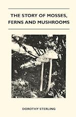 The Story Of Mosses, Ferns And Mushrooms
