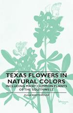 Texas Flowers in Natural Colors - Including Many Common Plants of the Southwest