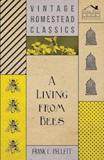 A Living From Bees