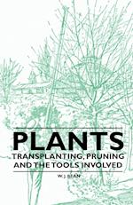 Plants - Transplanting, Pruning and the Tools Involved
