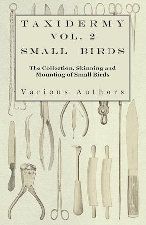 TAXIDERMY VOL 2 SMALL BIRDS -