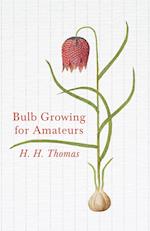Bulb Growing for Amateurs