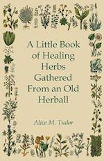 A Little Book of Healing Herbs Gathered From an Old Herball