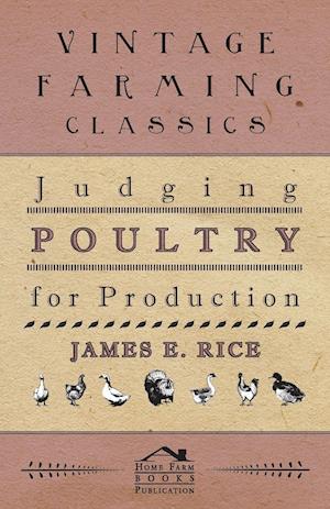 Judging Poultry for Production