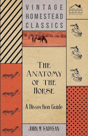 The Anatomy of the Horse - A Dissection Guide