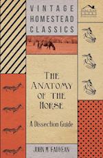 The Anatomy of the Horse - A Dissection Guide