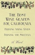 The Best Wine Grapes for California - Pruning Young Vines - Pruning the Sultana