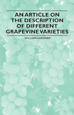 An Article on the Description of Different Grapevine Varieties