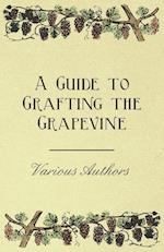 A Guide to Grafting the Grapevine