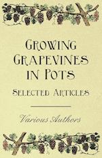 Growing Grapevines in Pots - Selected Articles