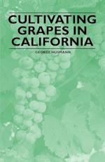 Cultivating Grapes in California