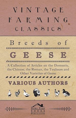 Breeds of Geese - A Collection of Articles on the Domestic, the Chinese, the Roman, the Toulouse and Other Varieties of Geese