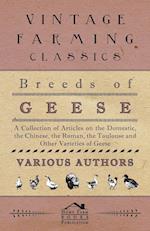 Breeds of Geese - A Collection of Articles on the Domestic, the Chinese, the Roman, the Toulouse and Other Varieties of Geese