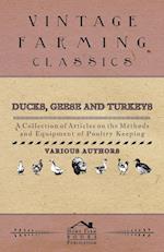 Ducks, Geese and Turkeys - A Collection of Articles on the Methods and Equipment of Poultry Keeping