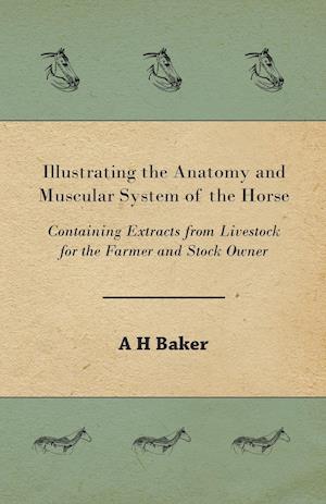 Illustrating the Anatomy and Muscular System of the Horse - Containing Extracts from Livestock for the Farmer and Stock Owner