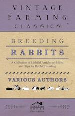 Breeding Rabbits - A Collection of Helpful Articles on Hints and Tips for Rabbit Breeding