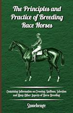 Stonehenge: Principles and Practice of Breeding Race Horses