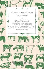 Cattle and Their Varieties - Containing Information on Origin, Breeds and Breeding