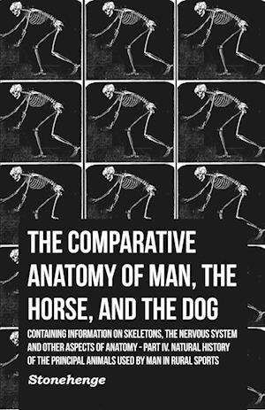 Stonehenge: Comparative Anatomy of Man, the Horse, and the D