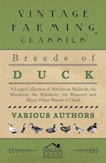 Breeds of Duck - A Large Collection of Articles on Mallards, the Mandarin, the Aylesbury, the Muscovy and Many Other Breeds of Duck