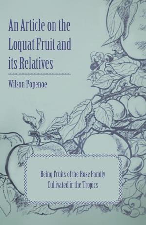 An Article on the Loquat Fruit and its Relatives - Being Fruits of the Rose Family Cultivated in the Tropics