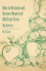 How to Reclaim and Restore Neglected Old Fruit Trees - An Article