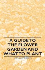 A Guide to the Flower Garden and What to Plant