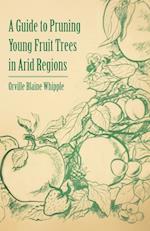 A Guide to Pruning Young Fruit Trees in Arid Regions
