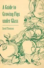 Thomson, D: Guide to Growing Figs Under Glass