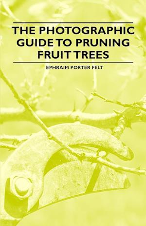 Felt, E: Photographic Guide to Pruning Fruit Trees