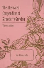 The Illustrated Compendium of Strawberry Growing - Four Volumes in One