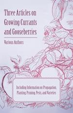 3 ARTICLES ON GROWING CURRANTS