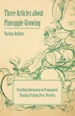 Three Articles about Pineapple Growing - Including Information on Propagation, Planting, Pruning, Pests, Varieties