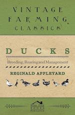 Ducks - Breeding, Rearing and Management