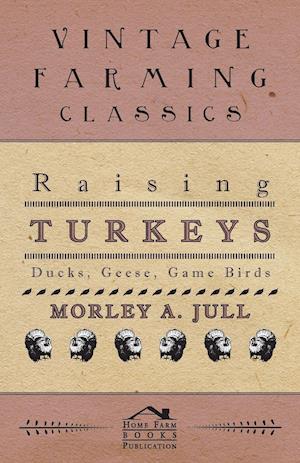 Raising Turkeys - Ducks, Geese, Game Birds