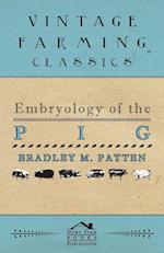 Embryology of The Pig