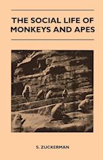 The Social Life of Monkeys and Apes