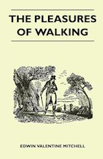 The Pleasures of Walking