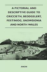 A Pictorial and Descriptive Guide to Criccieth, Beddgelert, Festiniog, Snowdonia and North Wales