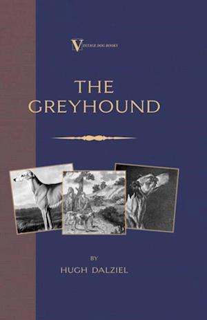Greyhound: Breeding, Coursing, Racing, etc. (a Vintage Dog Books Breed Classic)