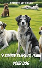 9 Simple Steps to Train Your Dog