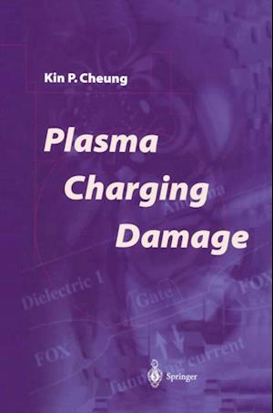 Plasma Charging Damage